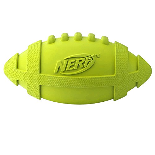 

Nerf Dog Rubber Squeak Football