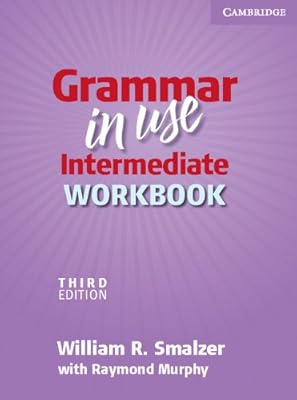Grammar in Use Intermediate Workbook