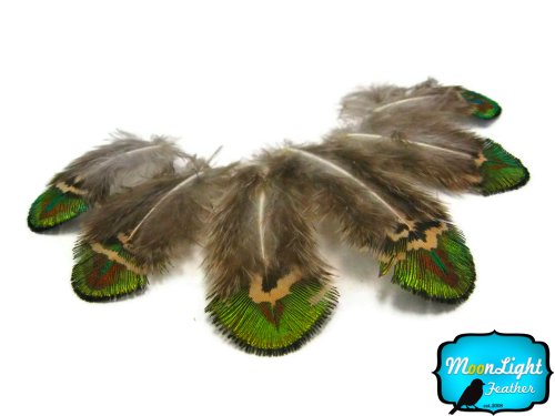 Algopix Similar Product 19 - Moonlight Feather  20 Pieces  Green