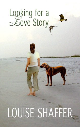 Looking for a Love Story by Louise Shaffer