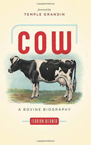 Cow: A Bovine Biography by Doris Ecker