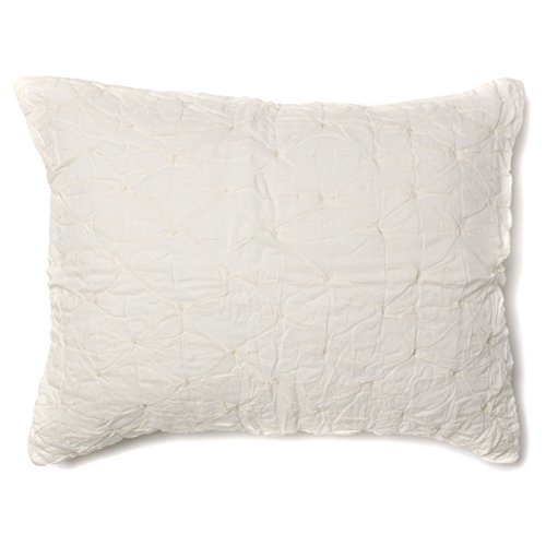 Algopix Similar Product 1 - 