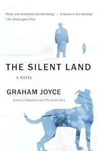 The Silent Land: A novel