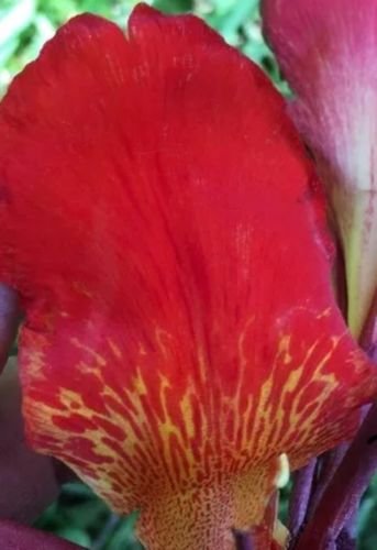 Algopix Similar Product 5 - 