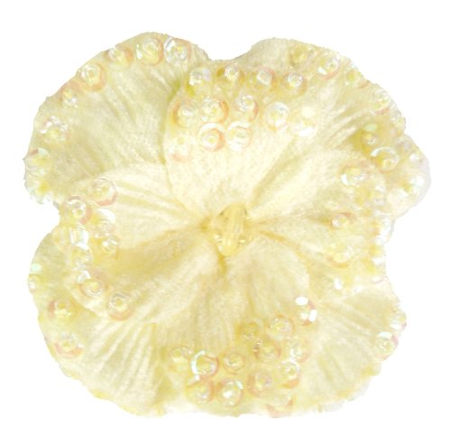 Algopix Similar Product 5 - Cuteque International Inc 6 pieces of