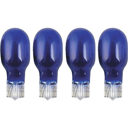 Landscape Light Bulb