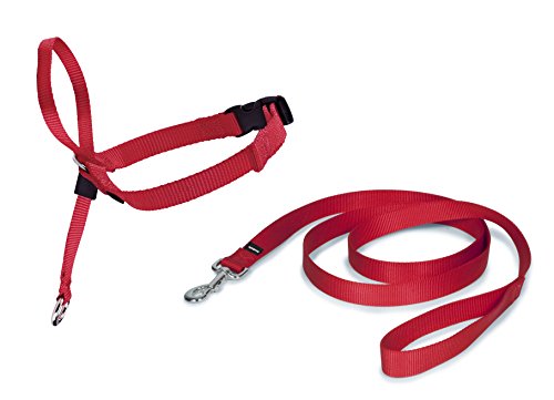 Algopix Similar Product 8 - PetSafe Easy Walk Headcollar Red