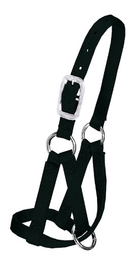 Weaver Leather Llama Halter