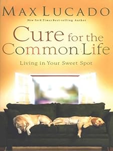 Cure for the Common Life: Living in Your Sweet Spot (Christian Softcover Originals)