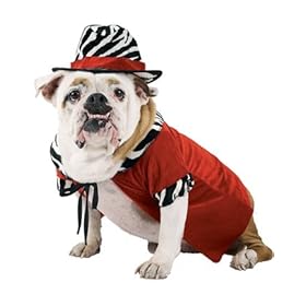 Pimp Dawg Pet Costume
