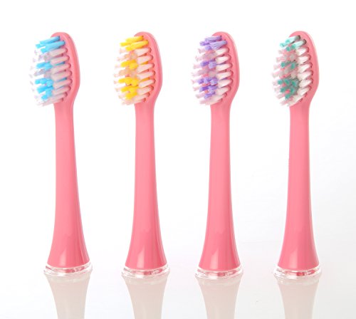 Algopix Similar Product 16 - Replacement Brush Heads for Ivation