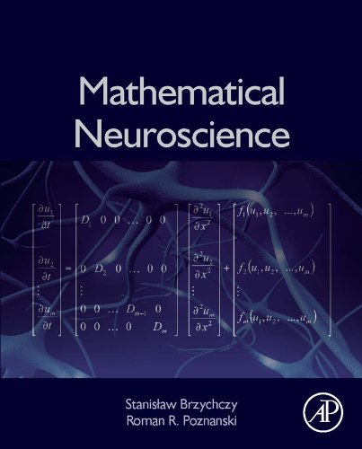 Mathematical Neuroscience by Stanislaw Brzychczy