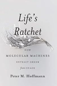 Life's Ratchet: How Molecular Machines Extract Order from Chaos