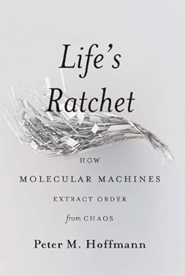 Life's Ratchet: How Molecular Machines Extract Order from Chaos
