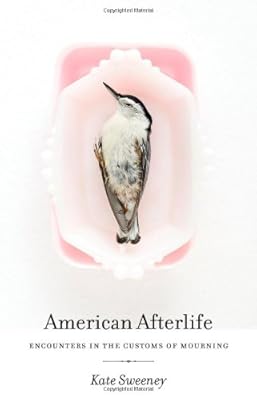 American Afterlife: Encounters in the Customs of Mourning
