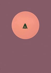 Gary Hume by Katharine Stout