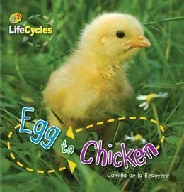 Egg to Chicken/Tadpole to Frog by Camilla de la Bedoyere