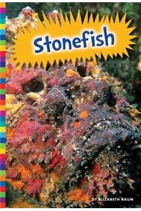 Stonefish