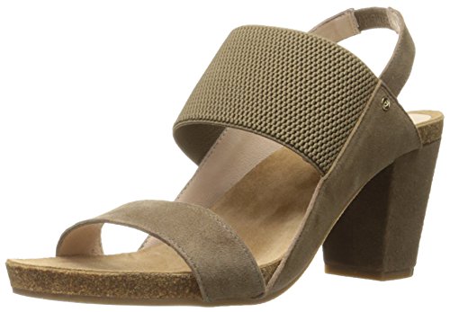 Algopix Similar Product 13 - 