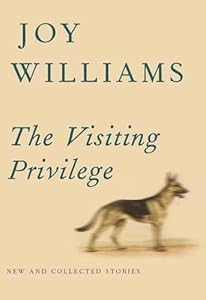 The Visiting Privilege: New and Collected Stories