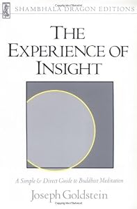 Experience of Insight (Shambhala Dragon Editions)