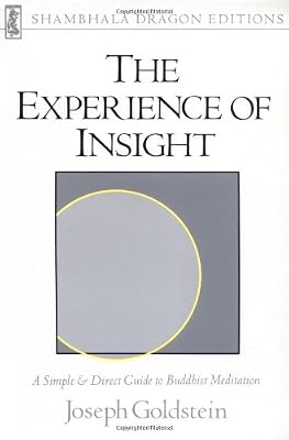 Experience of Insight (Shambhala Dragon Editions)