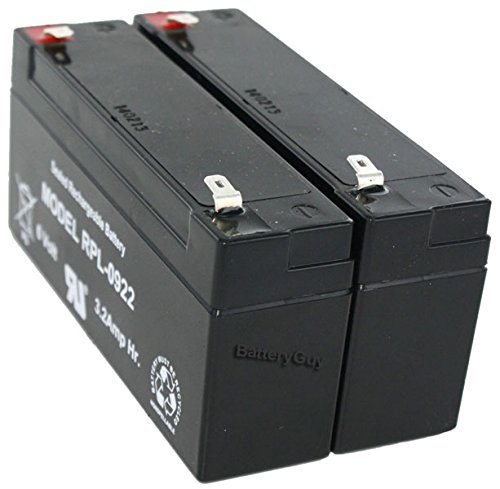 Algopix Similar Product 1 - DualLite 12922  0120922 Battery