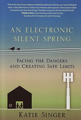 An Electronic Silent Spring: Facing the Dangers and Creating Safe Limits