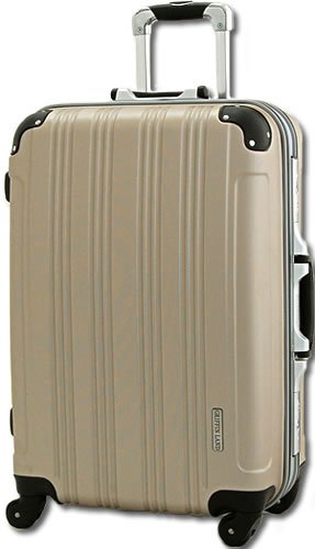 tsaロック搭载 スーツケース キャリーバッグ dl21001 マット kingdom