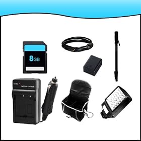 Professional Accessory Bundle Kit for Canon VIXIA HFM50-HFM500-HFM52-HFR30-HFR300-HFR32 Full HD Camcorders includes BP727 Battery + BP727 Charger + 8GB SD Memory Card + HDMI + Video Light Kit + Monopod + Case