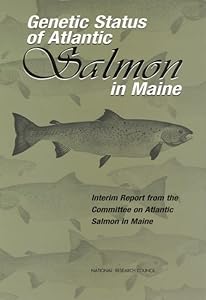 Genetic Status of Atlantic Salmon in Maine: Interim Report from the Committee on Atlantic Salmon in Maine
