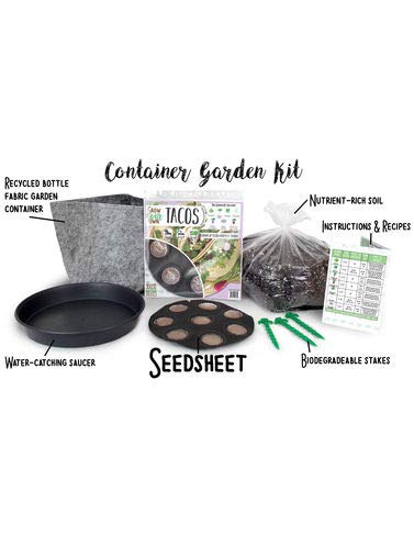 Algopix Similar Product 16 - Grow Your Own Tacos Container Garden Kit