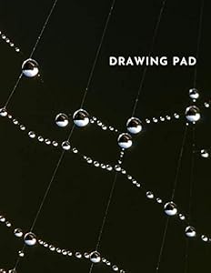 Spiderweb Drawing Pad: Simple Sketchbook, White Paper, Blank, 100 pages, 8.5 x 11 by Mr PAD