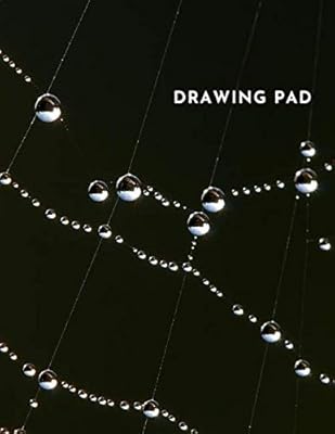 Spiderweb Drawing Pad: Simple Sketchbook, White Paper, Blank, 100 pages, 8.5 x 11