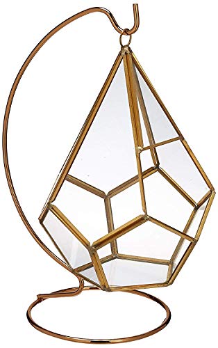 Algopix Similar Product 9 - Circleware 32502 Terraria Glass Plant