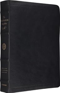 ESV MacArthur Study Bible (Premium Calfskin, Black)