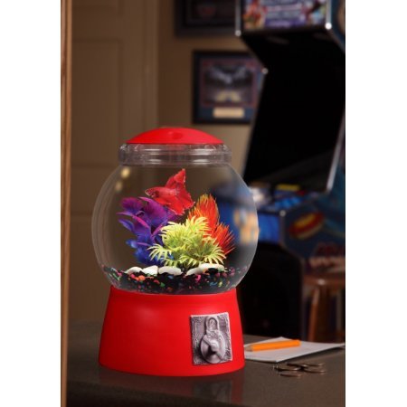 Algopix Similar Product 11 - Aqua Culture 15Gallon Gumball