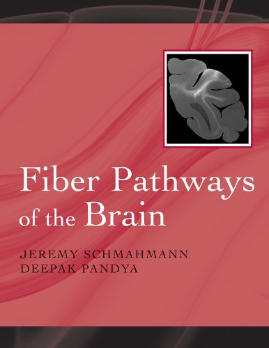Fiber Pathways of the Brain by Jeremy D. Schmahmann