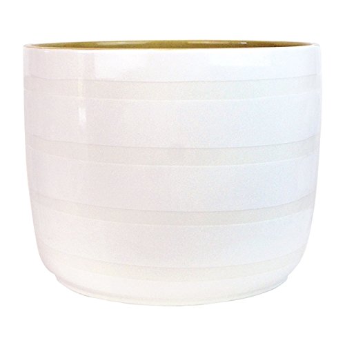 Algopix Similar Product 4 - Pebble and Plank Party Bowls, Set of 2