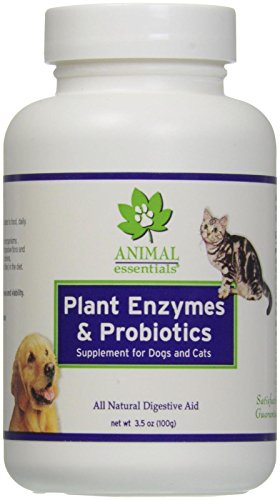 Animal Essentials Plant Enzyme & Probiotics Supplement for Dogs and Cats - 3.5 oz