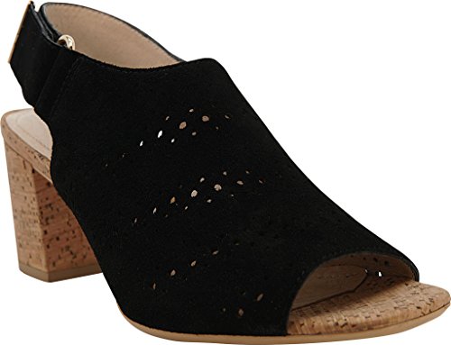 Algopix Similar Product 5 - 