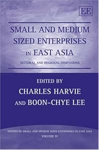 Small and Medium Sized Enterprises in East Asia: Sectoral and Regional Dimensions (Studies of Small and Medium Sized Enterprises in East Asia series, 4)