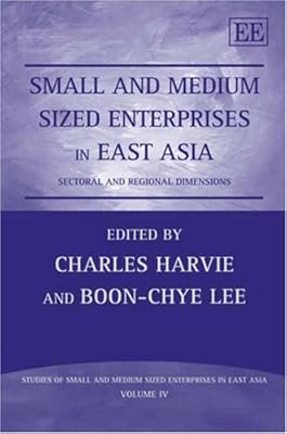 Small and Medium Sized Enterprises in East Asia: Sectoral and Regional Dimensions (Studies of Small and Medium Sized Enterprises in East Asia series, 4)