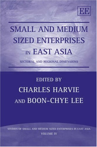 Small and Medium Sized Enterprises in East Asia: Sectoral and Regional Dimensions (Studies of Small and Medium Sized Enterprises in East Asia series, 4) by Charles Harvie