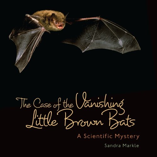 The Case of the Vanishing Little Brown Bats: A Scientific Mystery by Sandra Markle