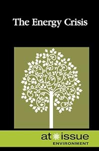 The Energy Crisis by Lisa Krueger