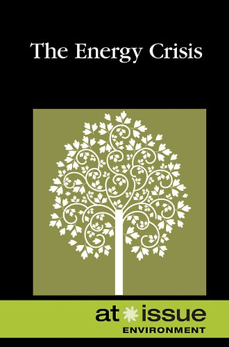 The Energy Crisis by Lisa Krueger