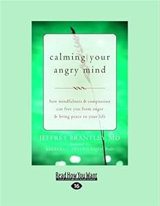 Calming Your Angry Mind: How Mindfulness and Compassion Can Free You from Anger and Bring Peace to Your Life by Jeffrey Brantley