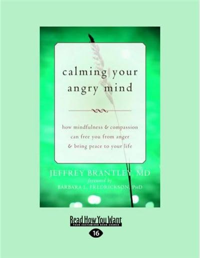 Calming Your Angry Mind: How Mindfulness and Compassion Can Free You from Anger and Bring Peace to Your Life by Jeffrey Brantley