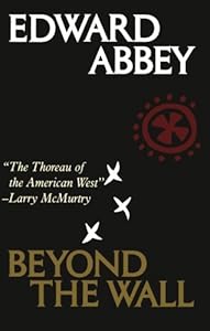 Beyond the Wall: Essays from the Outside